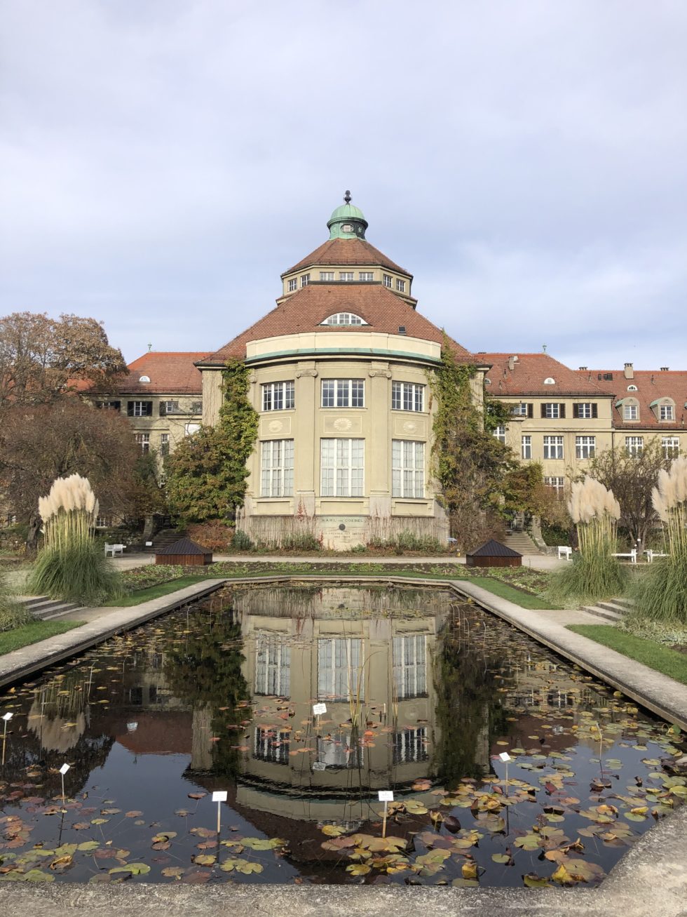 DER BOTANISCHE GARTEN IN MÜNCHEN EIN KLEINES STÜCKCHEN PARADIES